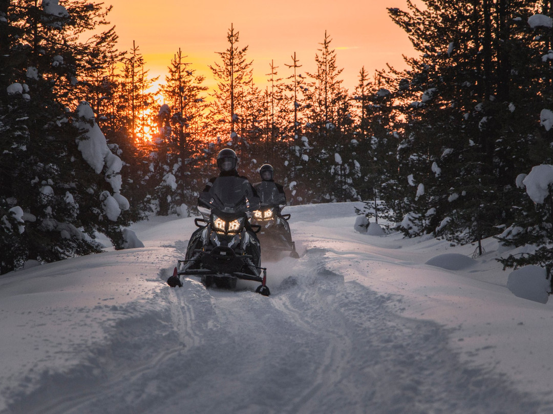 Aurora eMotion - Electric Snowmobile Safaris-罗瓦涅米必去景点