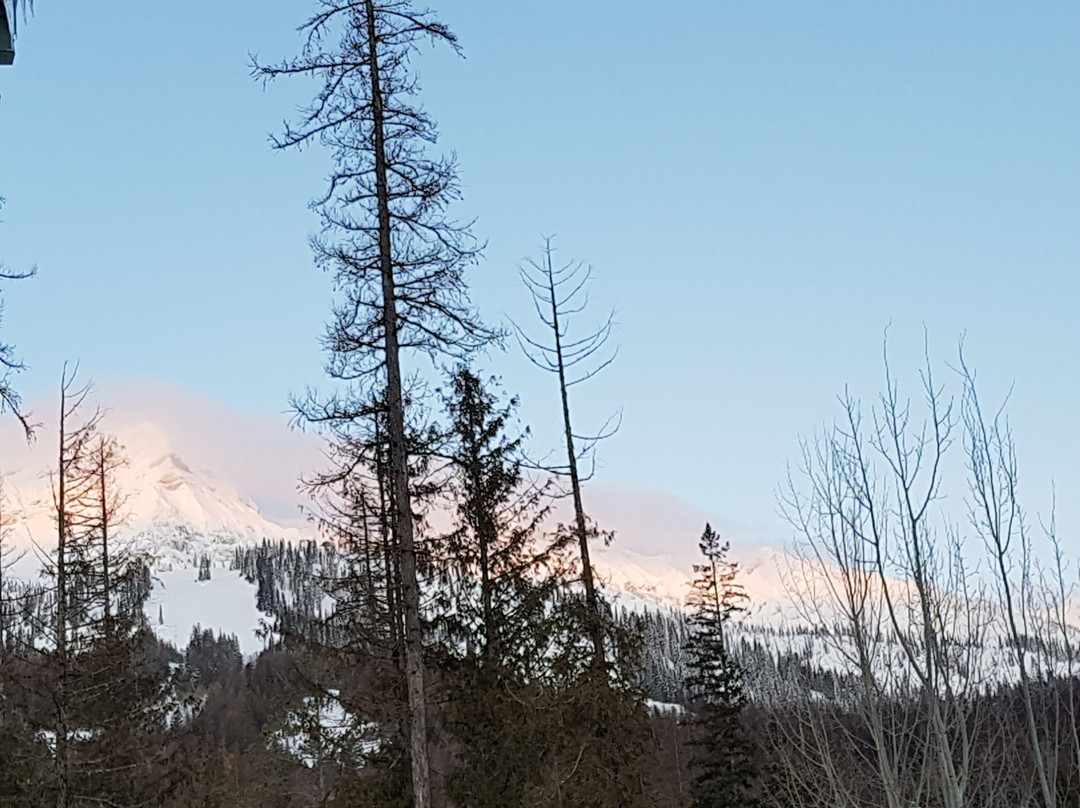 Lizard Creek Lodge主图