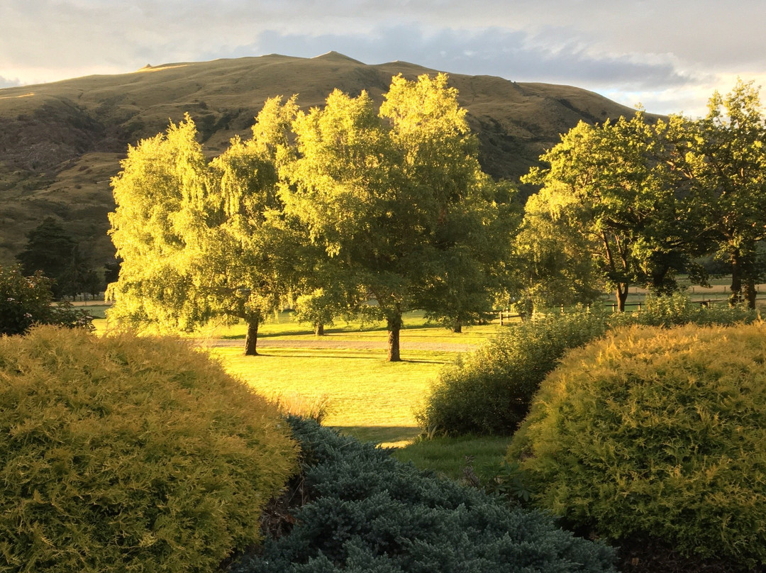 Castle Hill Lodge B&B主图