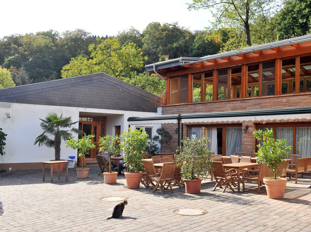 Maibachfarm organic winery-巴特诺因阿尔－阿尔韦勒必去景点