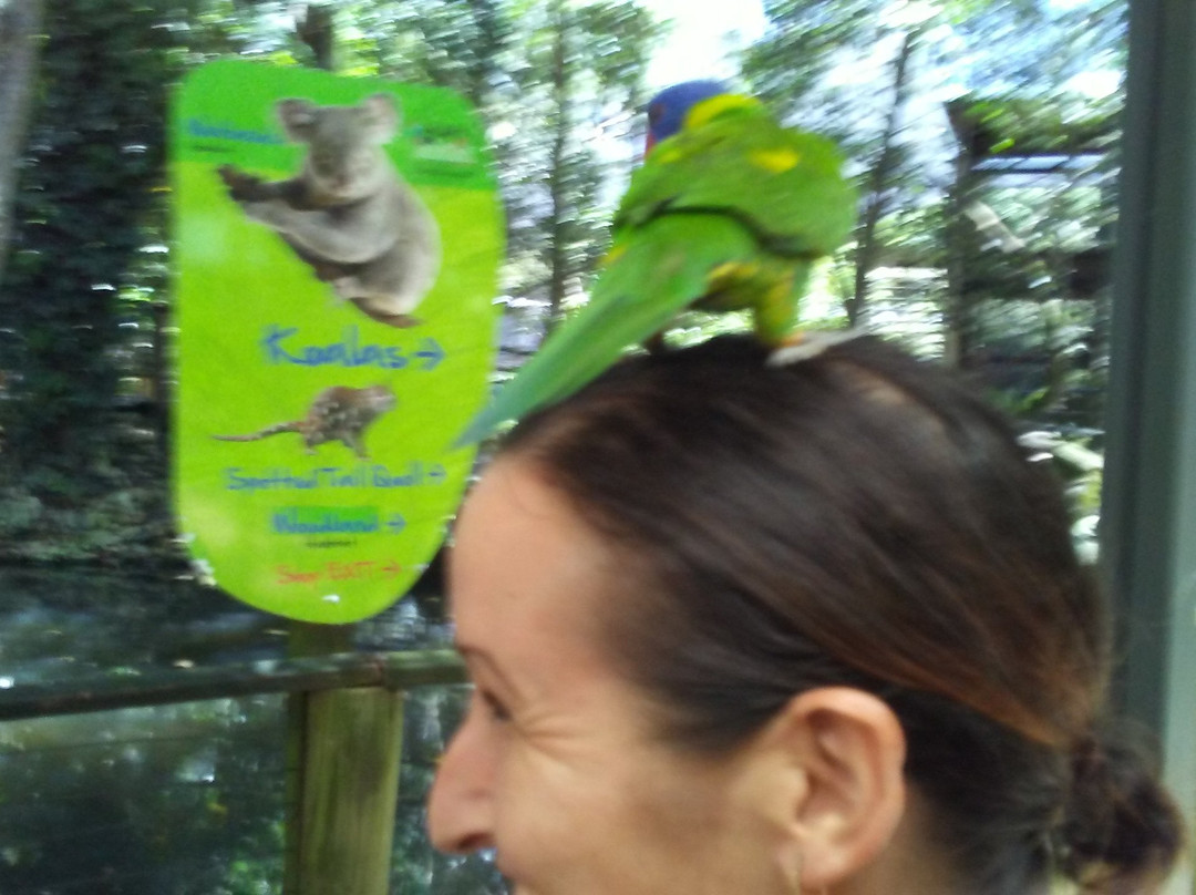 Daintree Mangroves Wildlife Sanctuary-Mossman必去景点