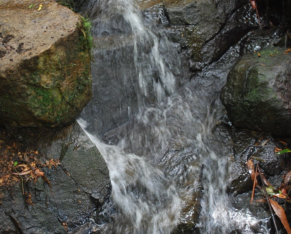 Rocky Creek Art Garden B&B主图