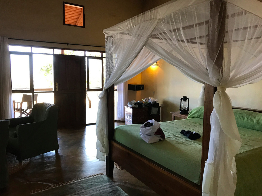 Mighty Safari-阿鲁沙必去景点