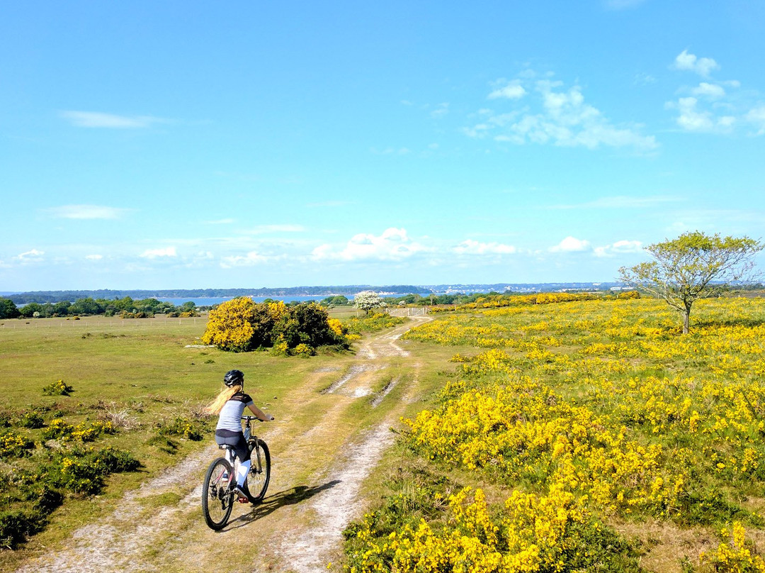 Cyclexperience (purbeck, Dorset)-Corfe Castle必去景点