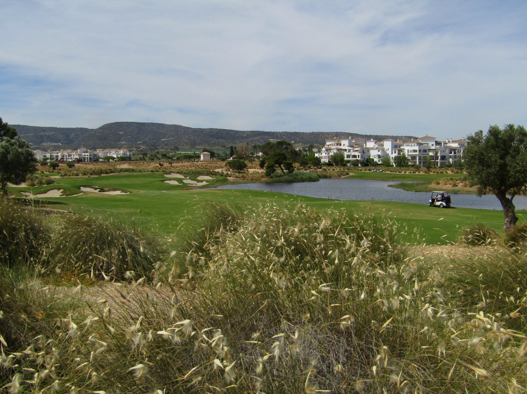 Hacienda Riquelme Golf Course景点图片