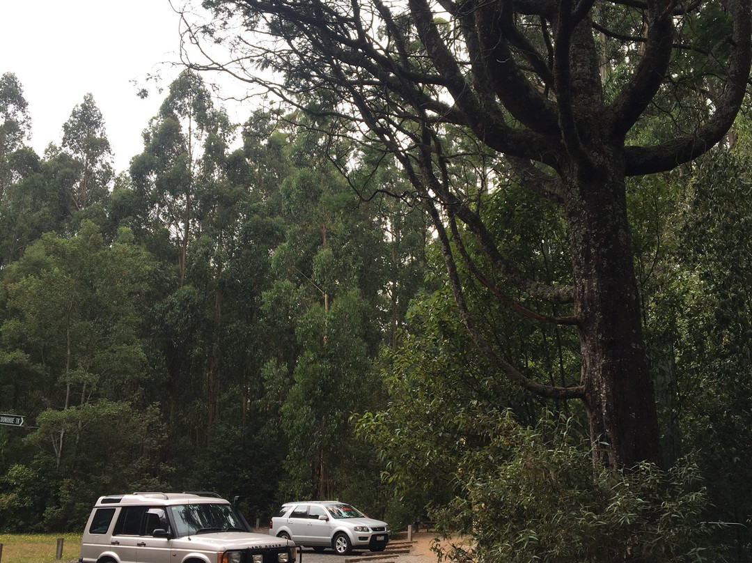 O'Donohue Picnic Ground-希尔布鲁克必去景点