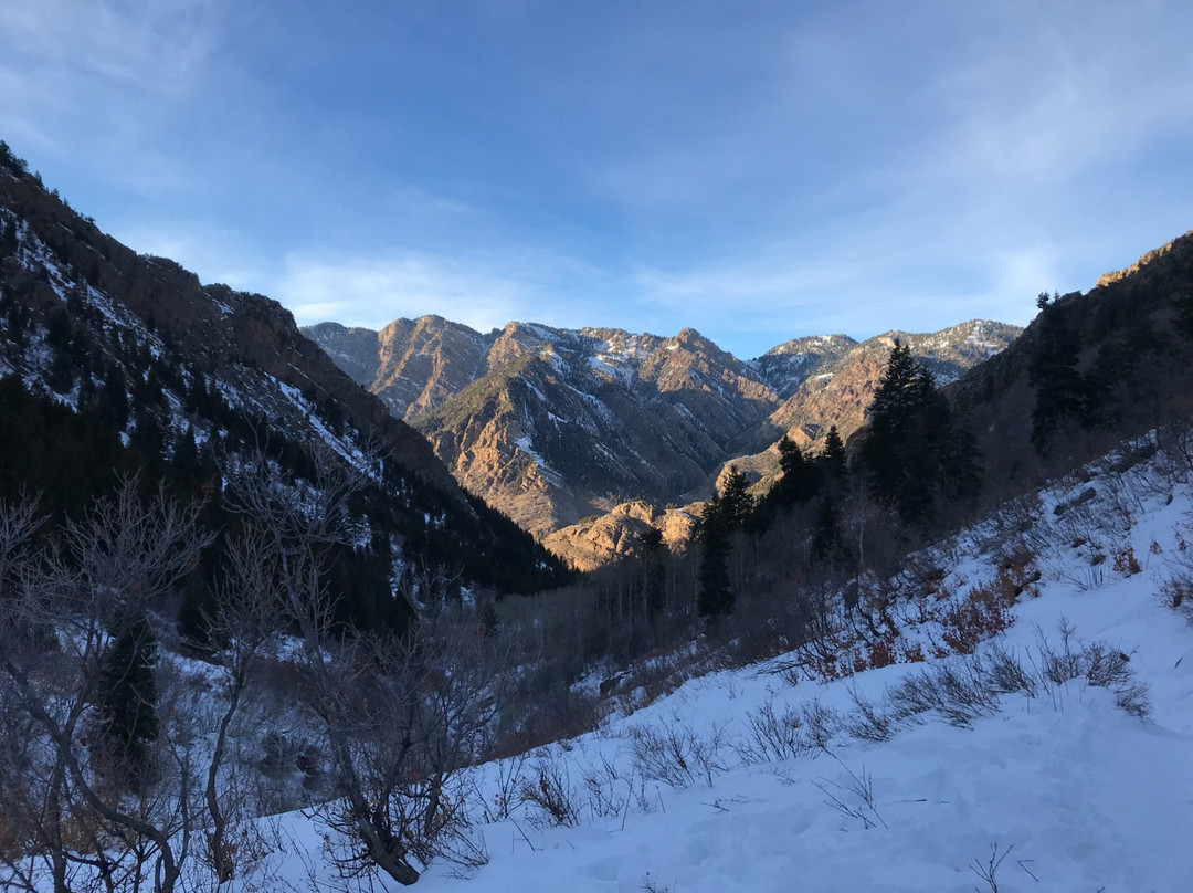 Wasatch-Cache National Forest景点图片