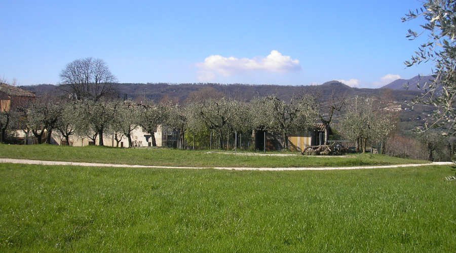 Agriturismo la Scala主图