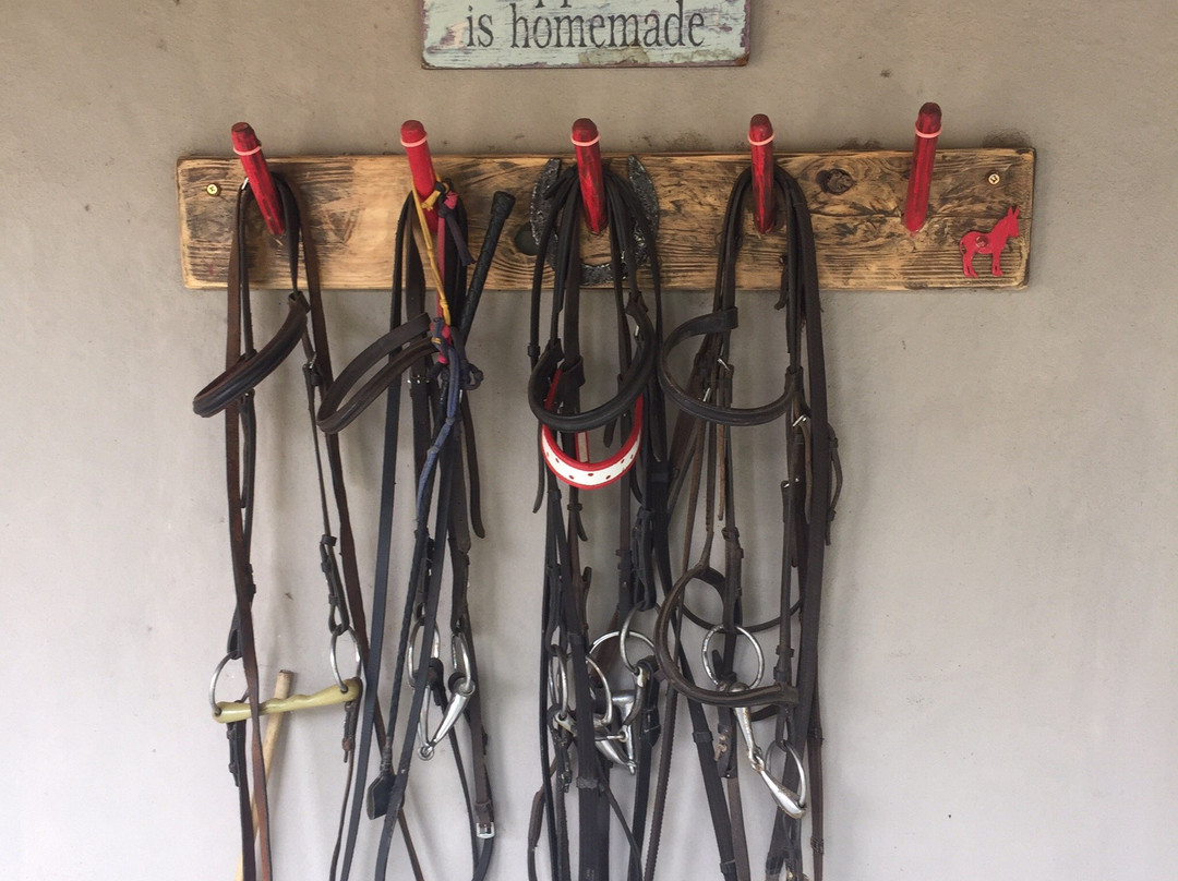 Gamka River Safari Co. - Day Rides-Calitzdorp必去景点