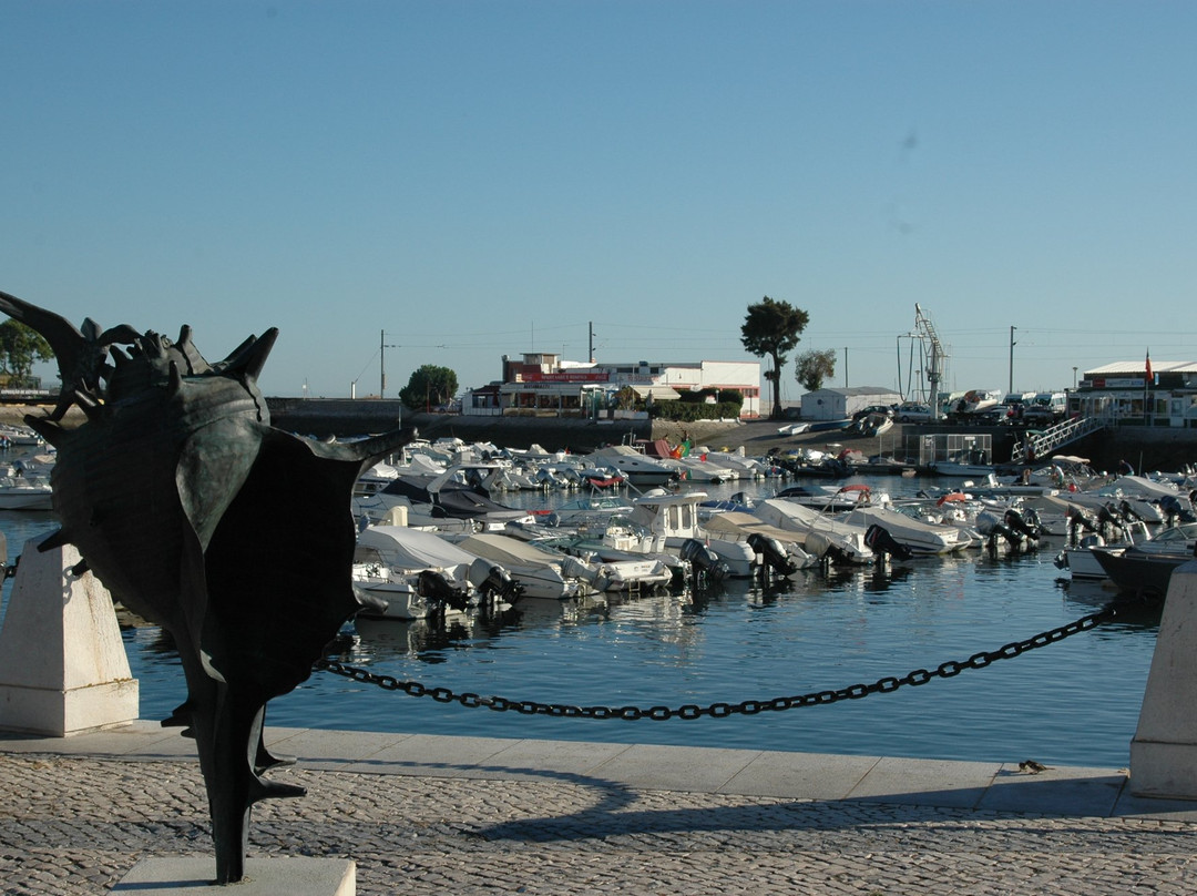 Marina de Faro景点图片