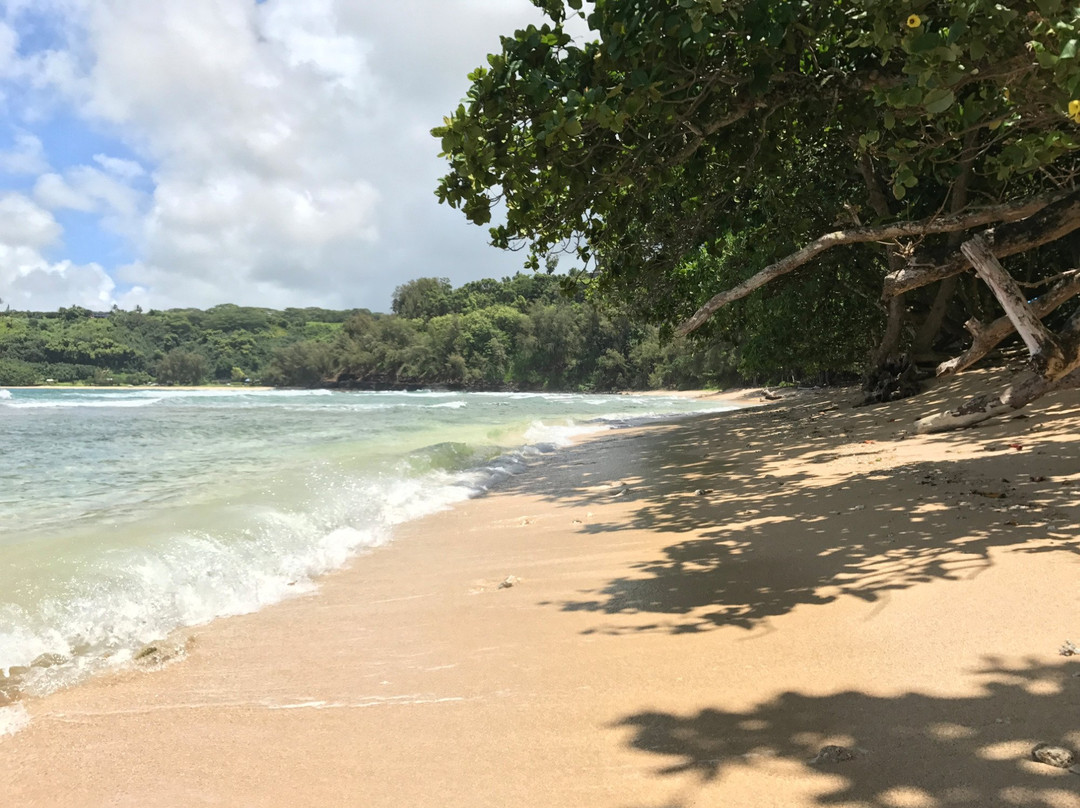 Kalihiwai Beach-基拉韦厄必去景点