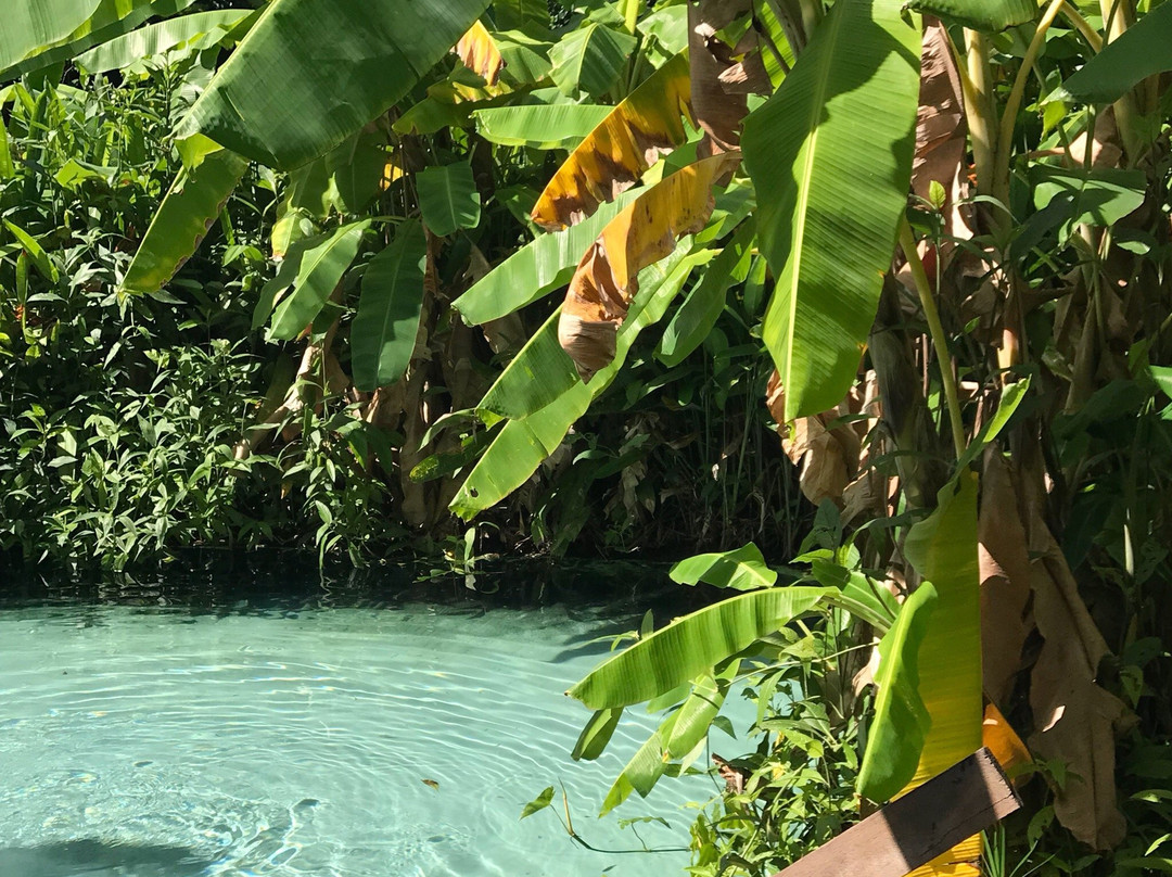 Fervedouro do Buriti-Mateiros必去景点