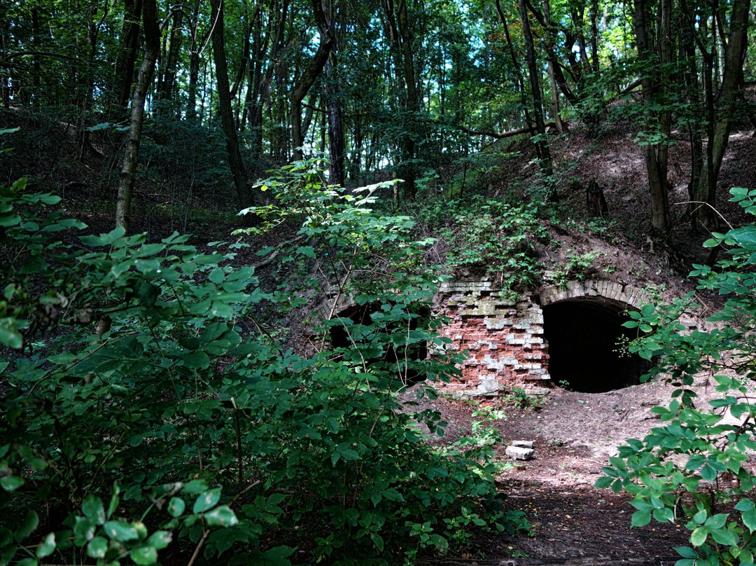 Nature Reserve Szaniawski Gorge景点图片