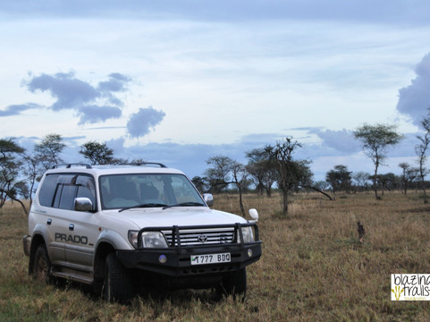 Arusha Car Rental & Safaris-阿鲁沙必去景点