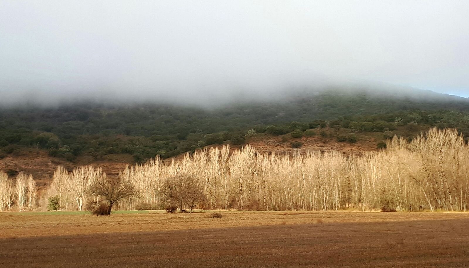 La Casa del Molinero de Pinilla-官方