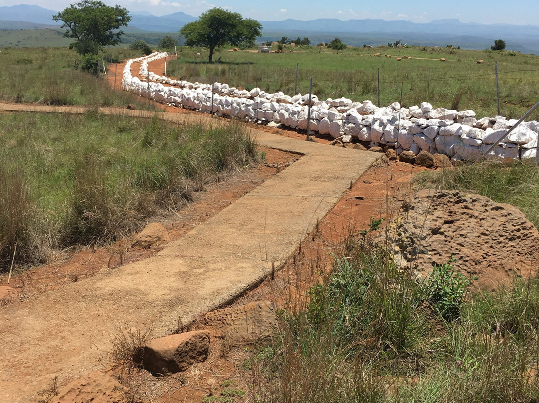BushBaby Safaris - Day Tours-丹地必去景点