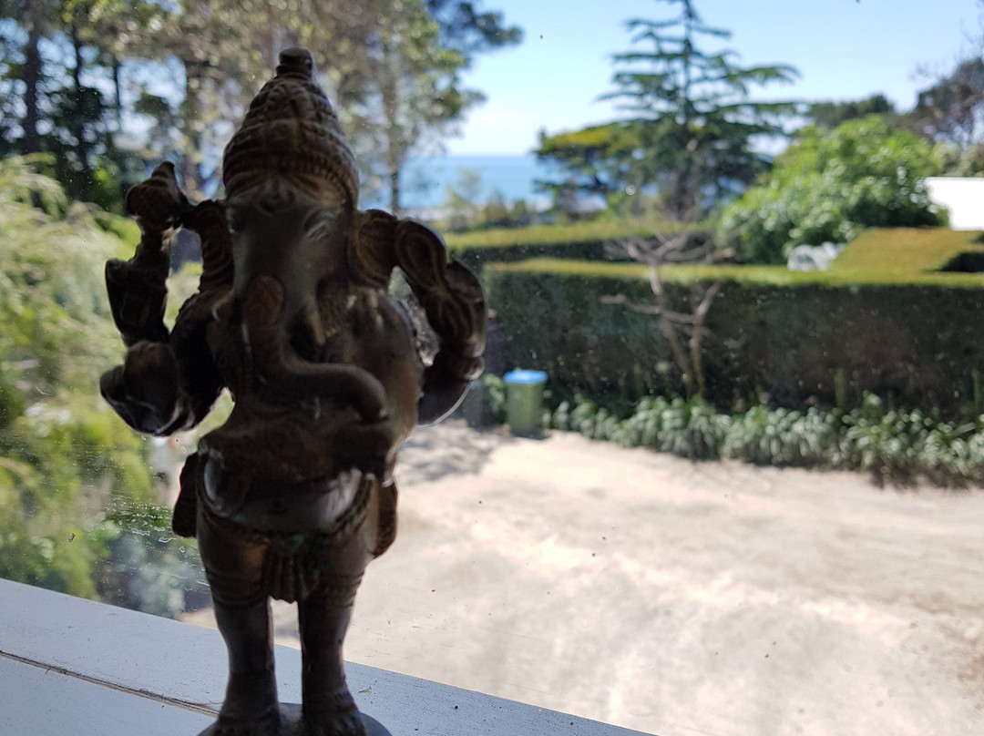 Dani Pritchard Yoga景点图片