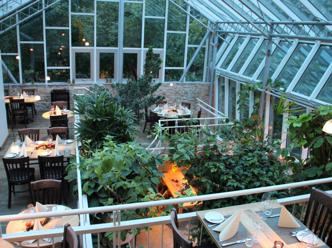 Oestrich-Winkel餐馆和美食-Schloss Vollrads