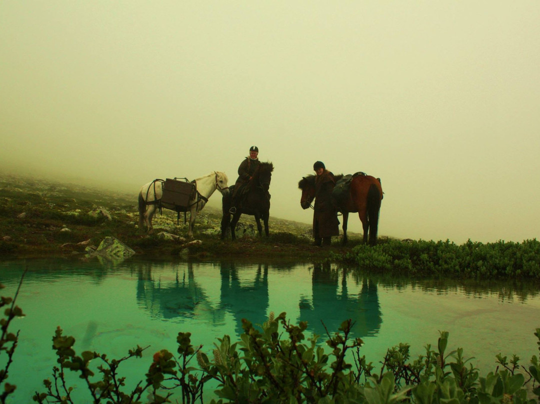 Kvistli Islandshester景点图片