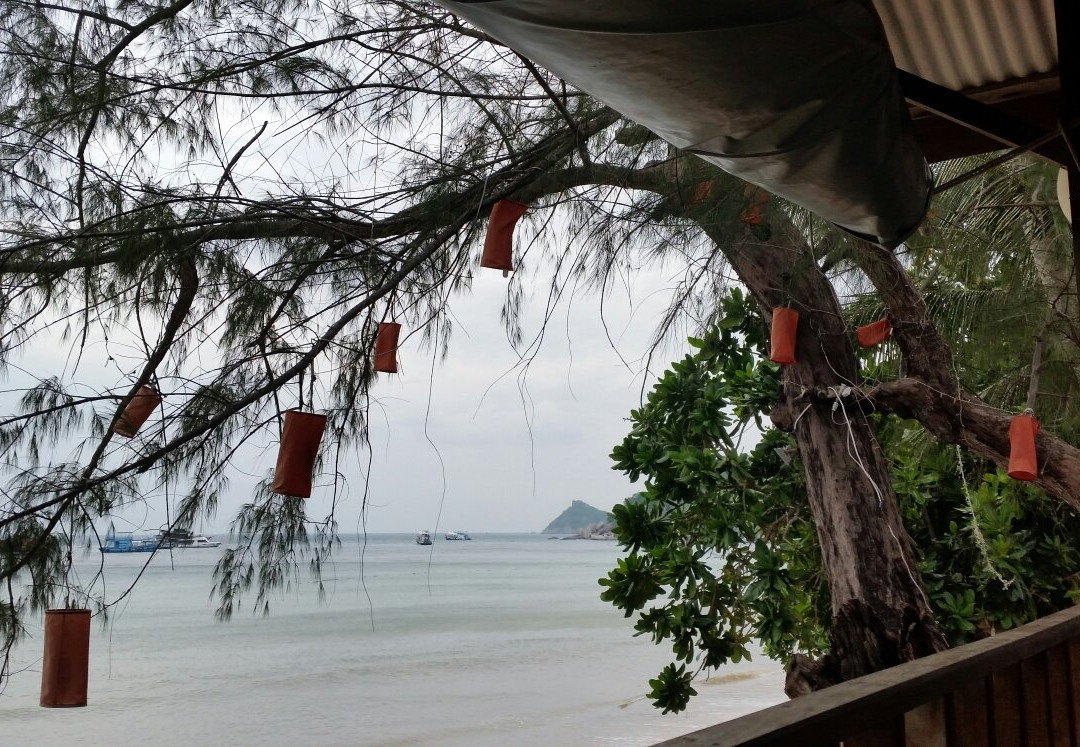 Watergate Spa-涛岛必去景点