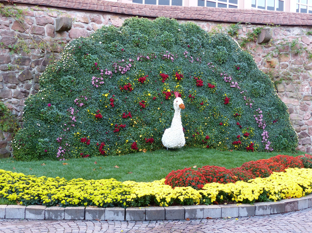 Fuehrungen + Rundgaenge-拉尔必去景点