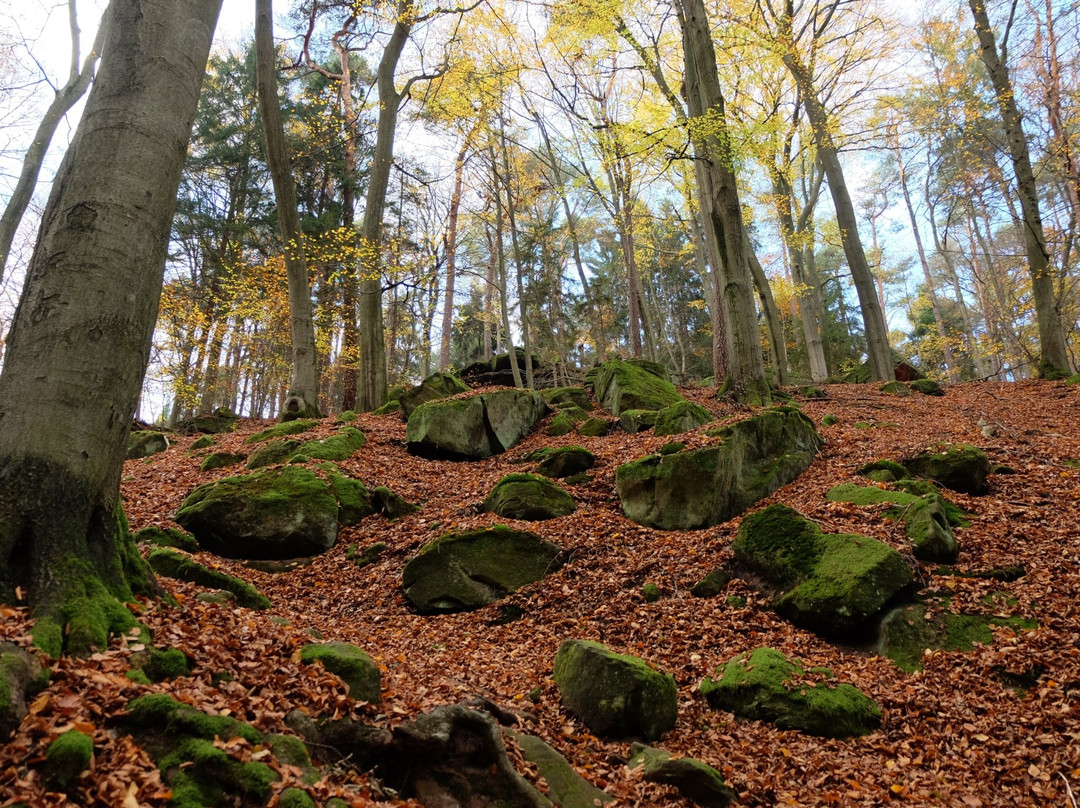 Barenlochweiher-Kindsbach必去景点