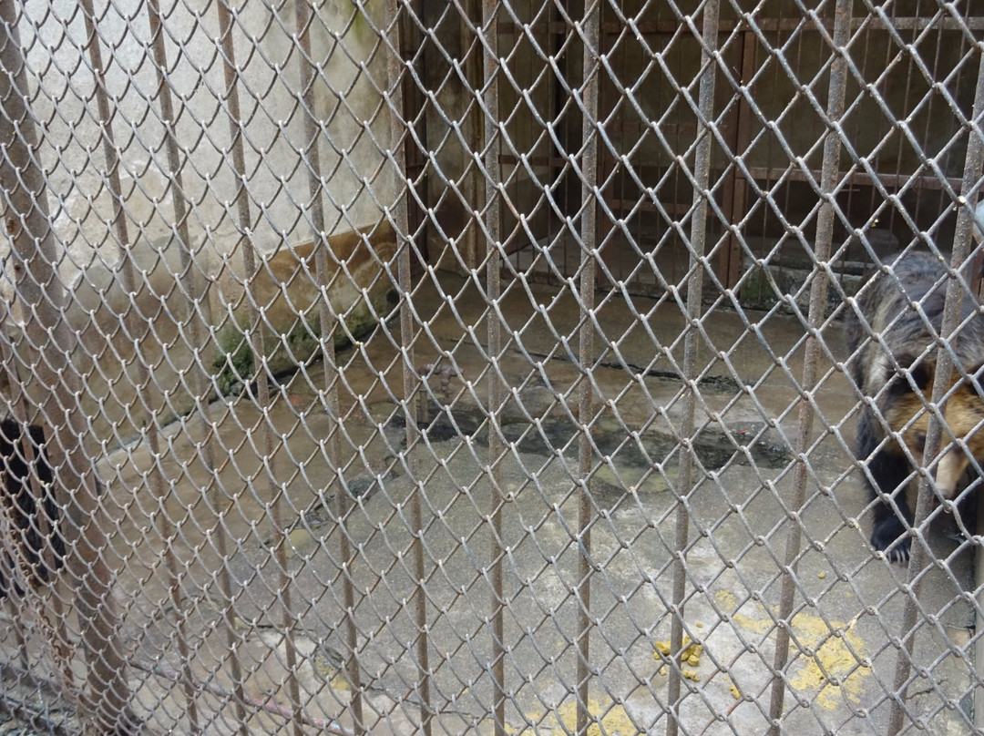 相山公园-淮北市必去景点