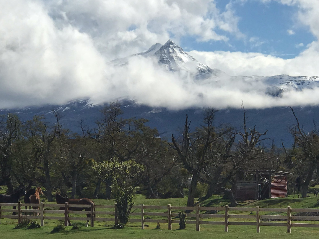 Torres del Paine餐馆和美食-Quincho Pampa Lodge