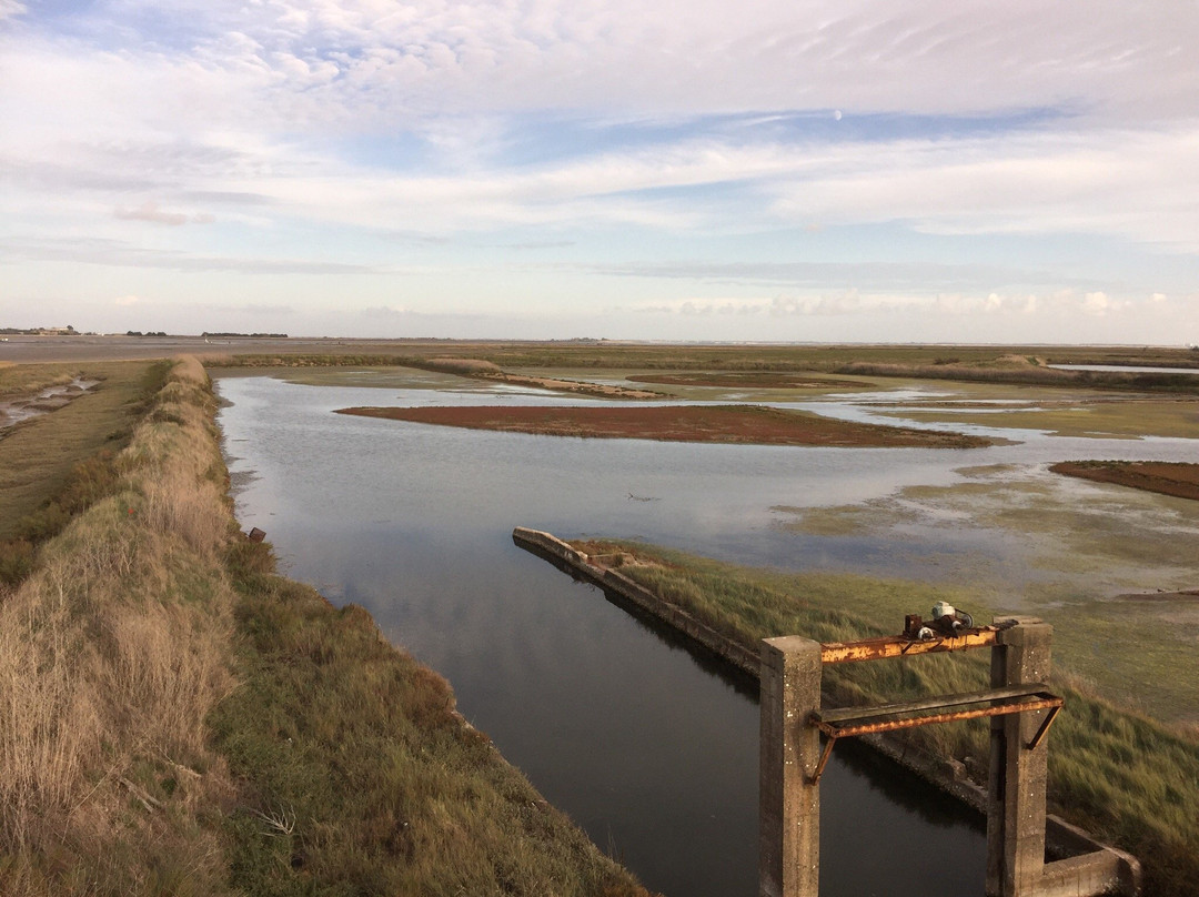 La Faute sur Mer旅游攻略图片