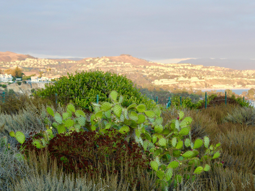 Hill Top Park-德纳角必去景点