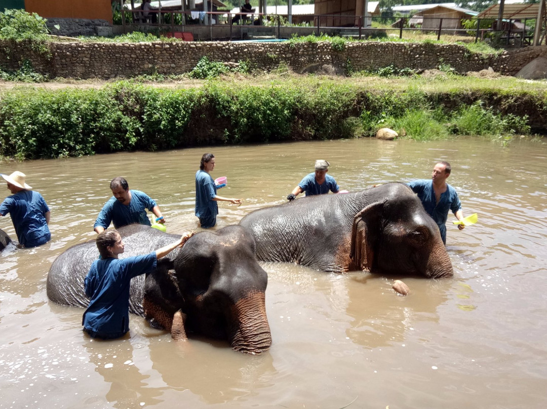 Baan Tung Lakorn Elephant Camp-夜登必去景点