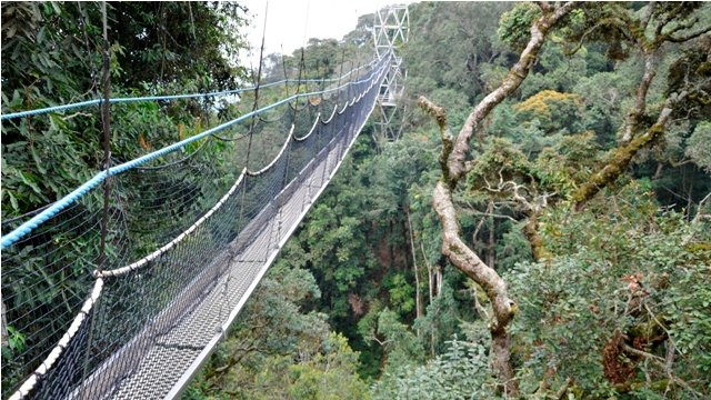 souvenier safaris-吉佳利必去景点