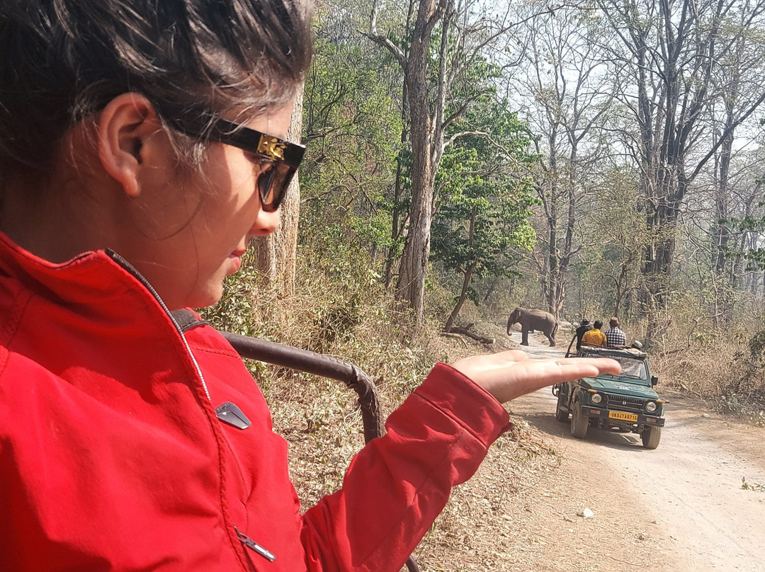 Corbett Next Forest Resort