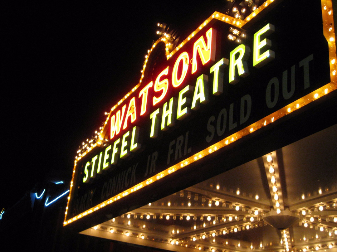 Stiefel Theatre for the Performing Arts-萨利纳必去景点