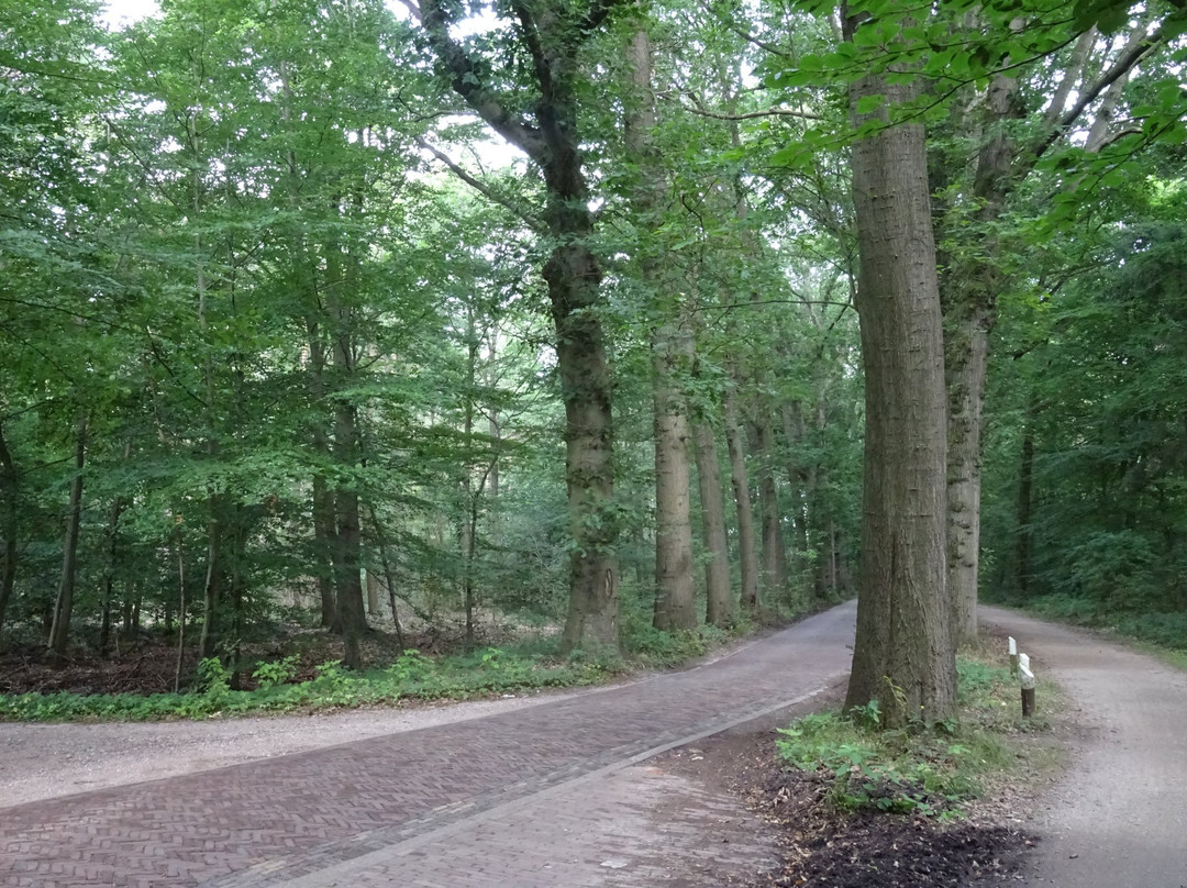 Lonnekerberg-Lonneker必去景点