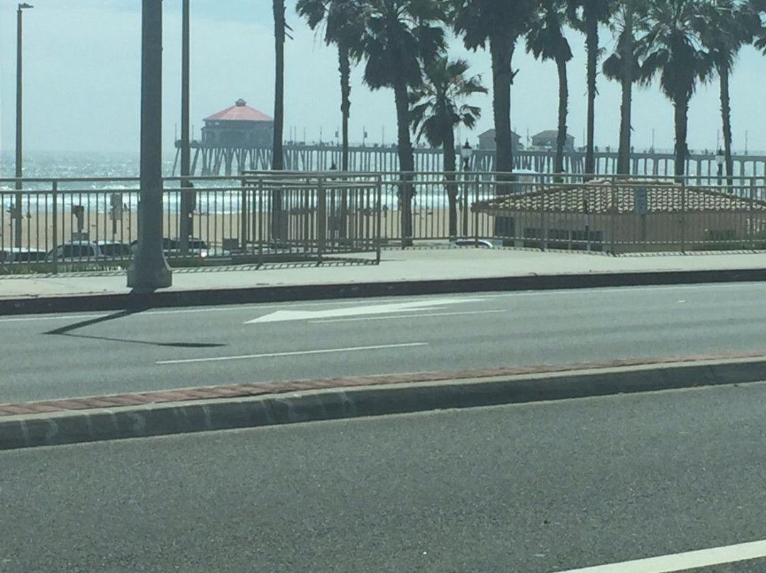 Bolsa Chica State Beach-亨廷顿海滩必去景点