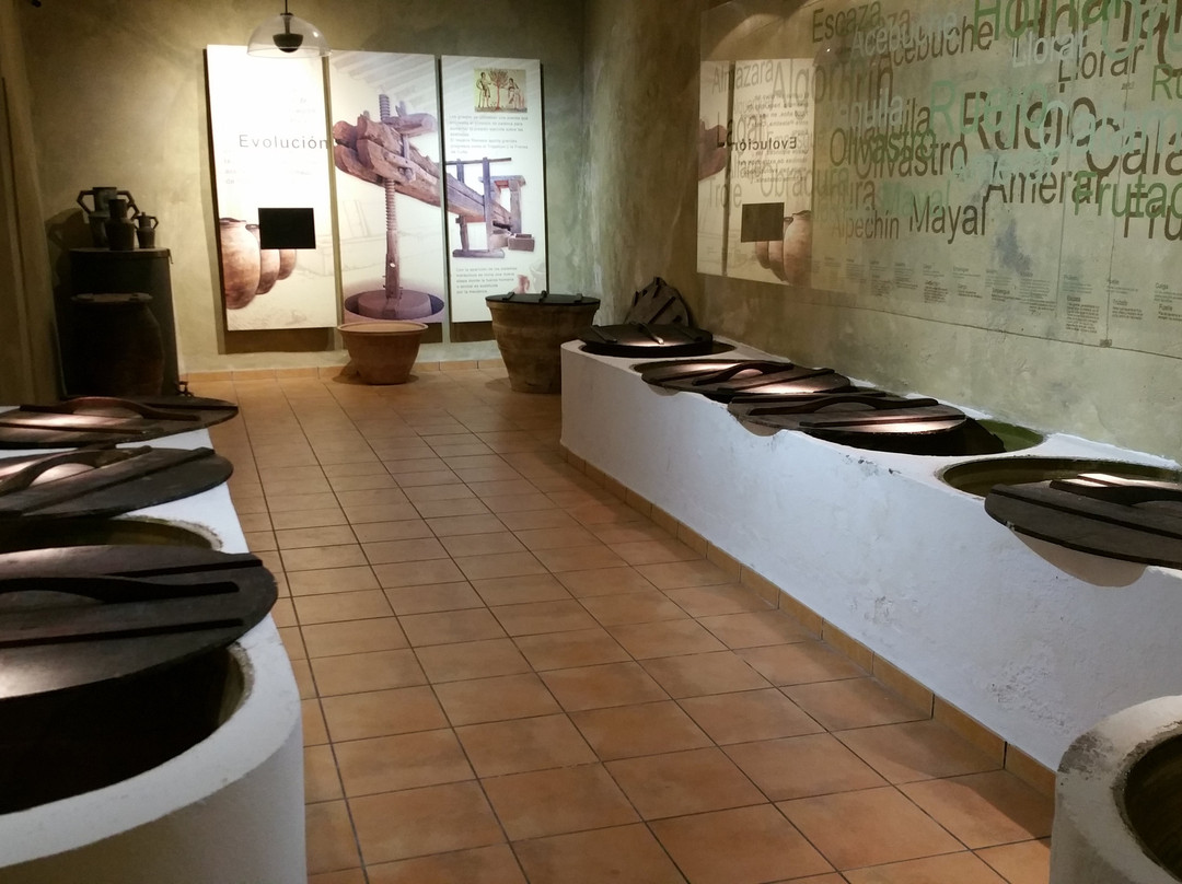 La Belluga Museo del Aceite景点图片