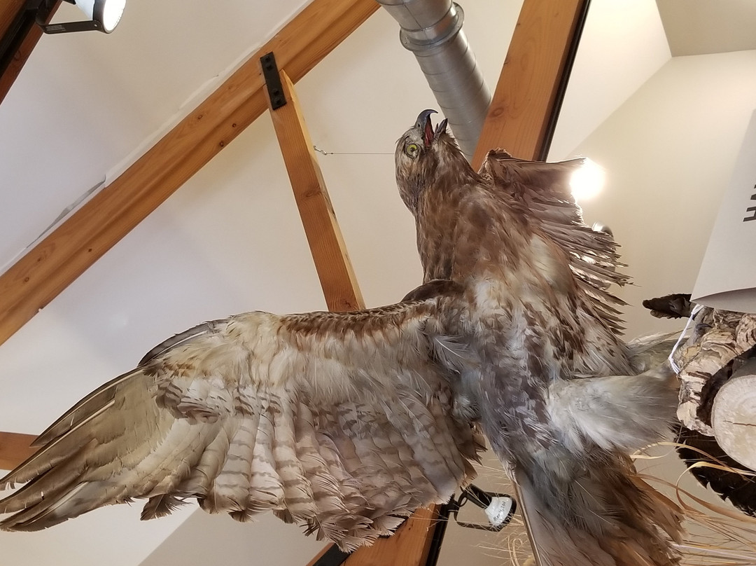 Kinder Farm Park-Millersville必去景点