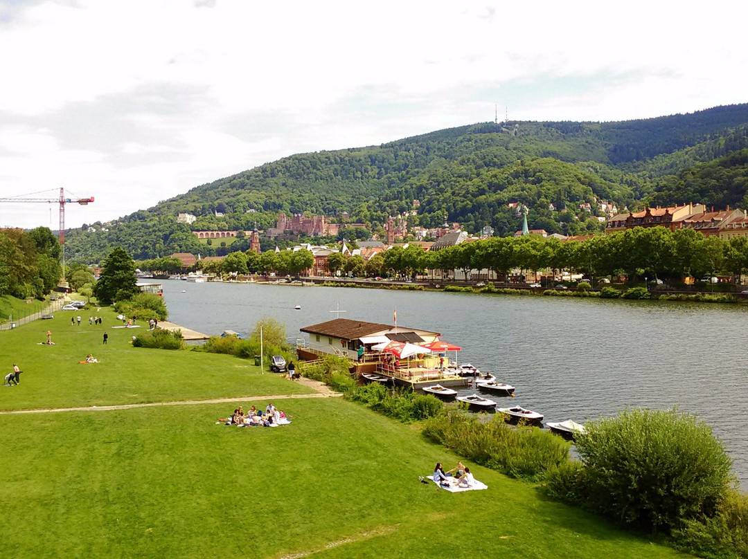 Neckarwiese Heidelberg景点图片