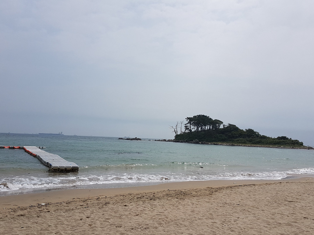 Jinha Beach景点图片