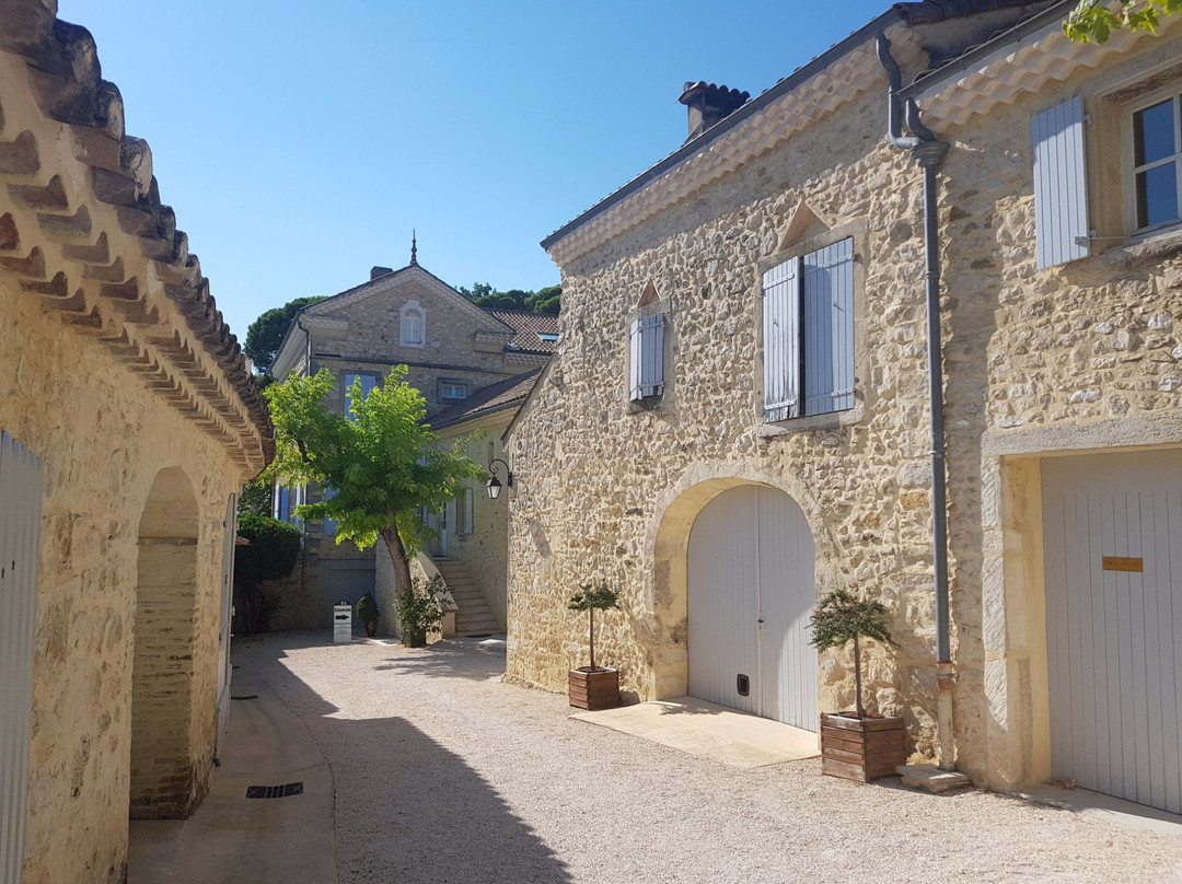 Chateau Bizard景点图片