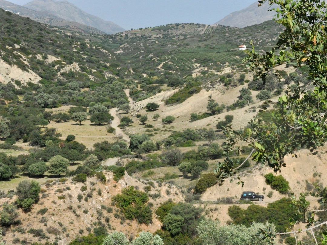 Experience Crete-Sitia必去景点