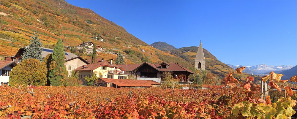 Weingut Plonerhof-博尔扎诺必去景点