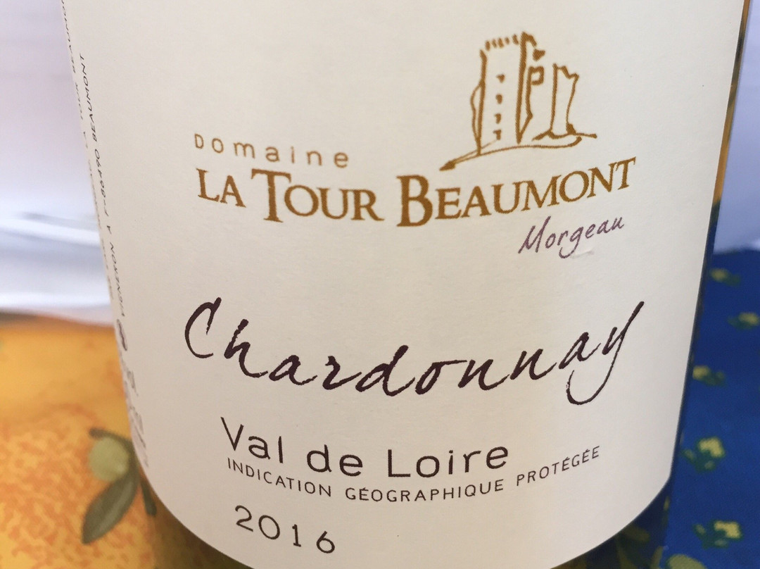 Domaine La Tour Beaumont景点图片