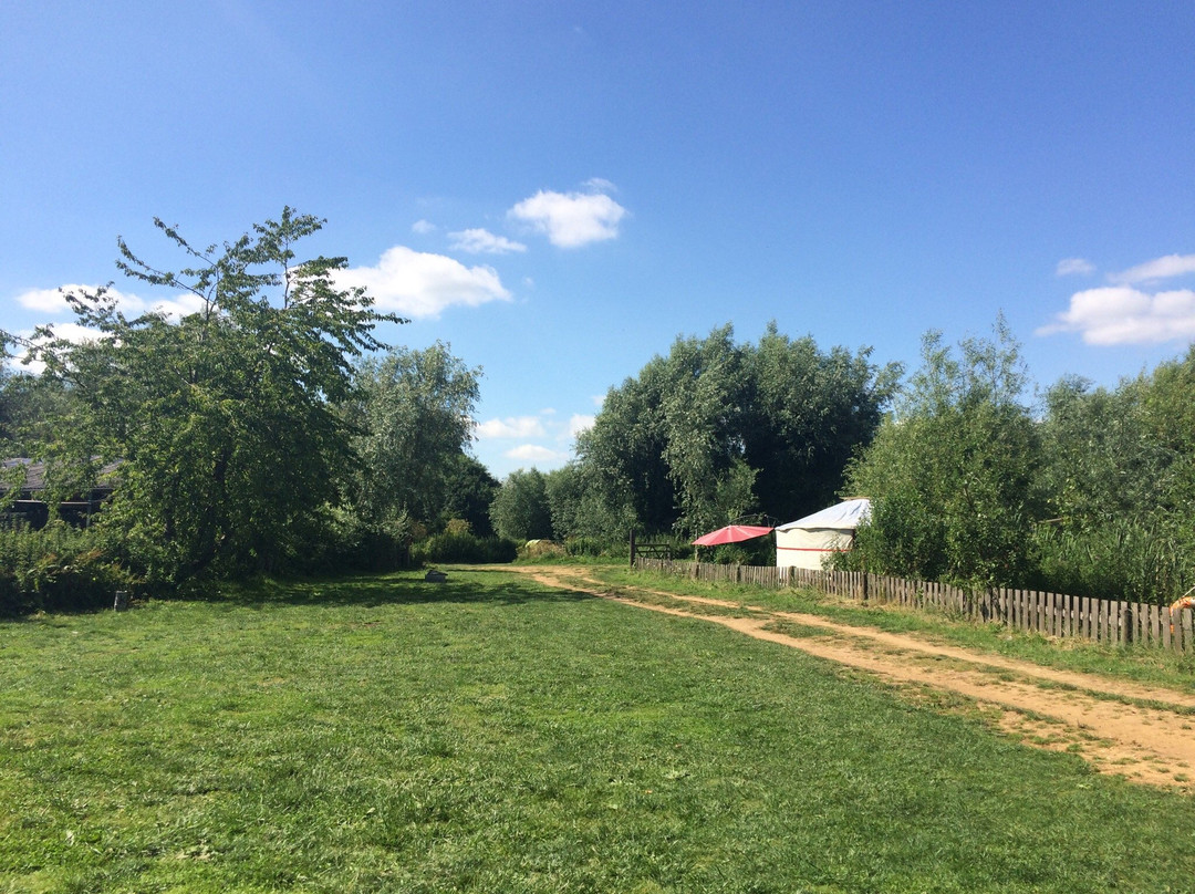 Karma Farm Campsite