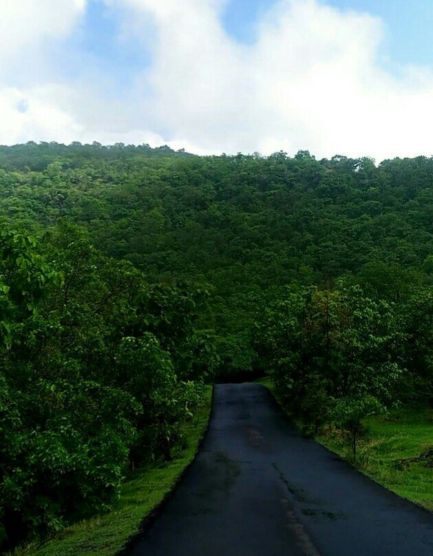 Gautala Autramghat Sanctuary景点图片