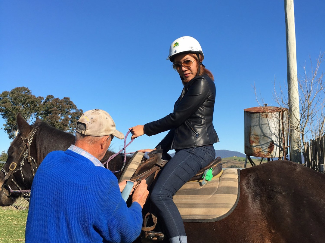 Wolumla Horse Riding Adventures-Wolumla必去景点
