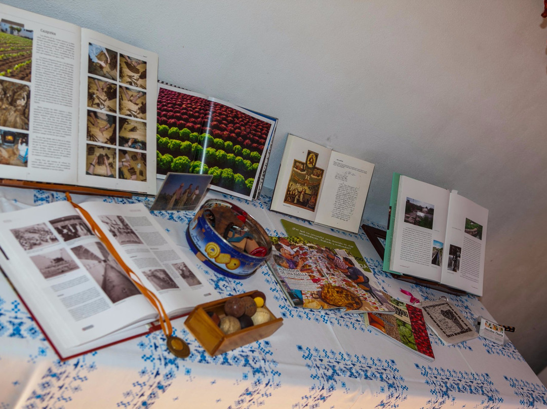 Discover l'Horta-巴伦西亚必去景点