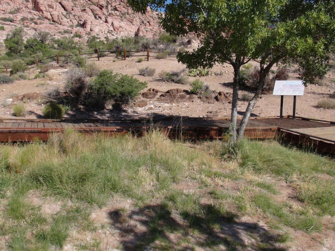 Red Spring Picnic Area-拉斯维加斯必去景点