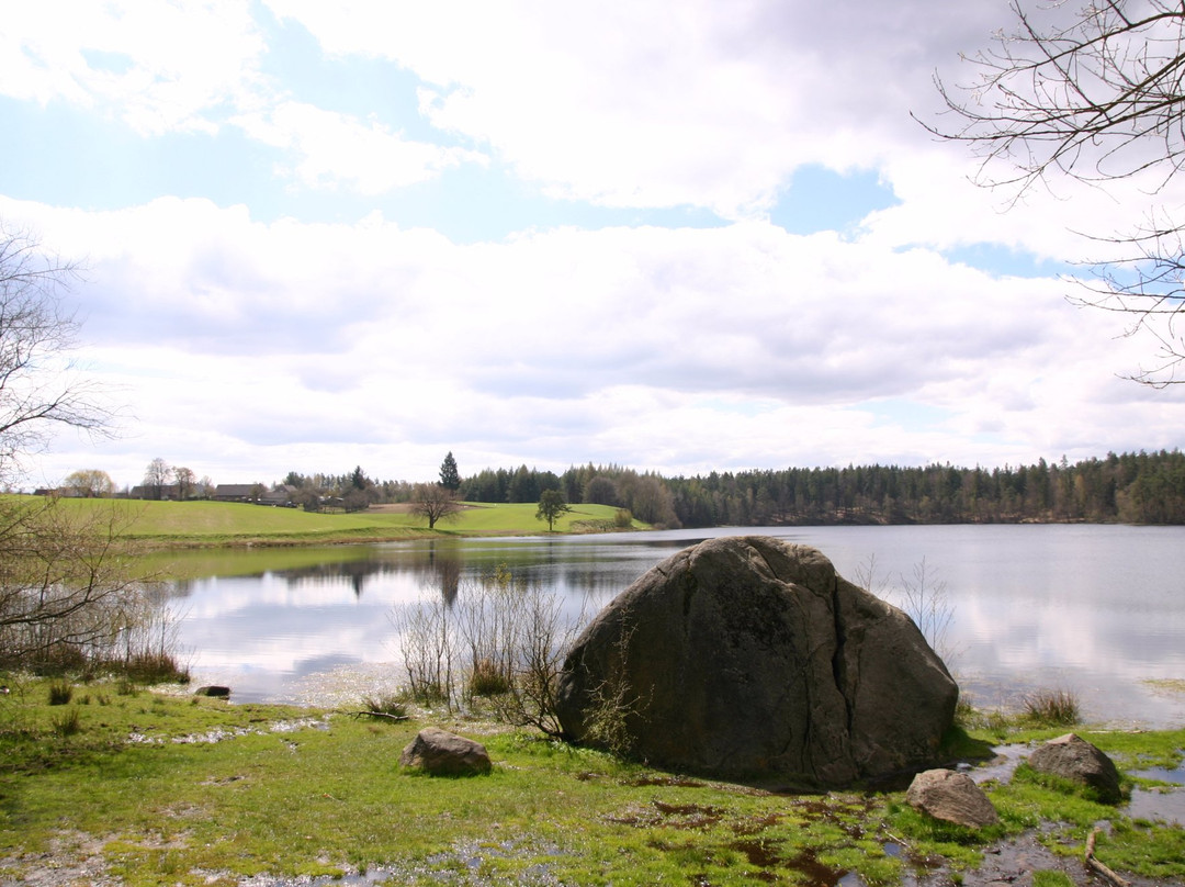 Devil's Stone in the Żurawie Błota Reserve景点图片